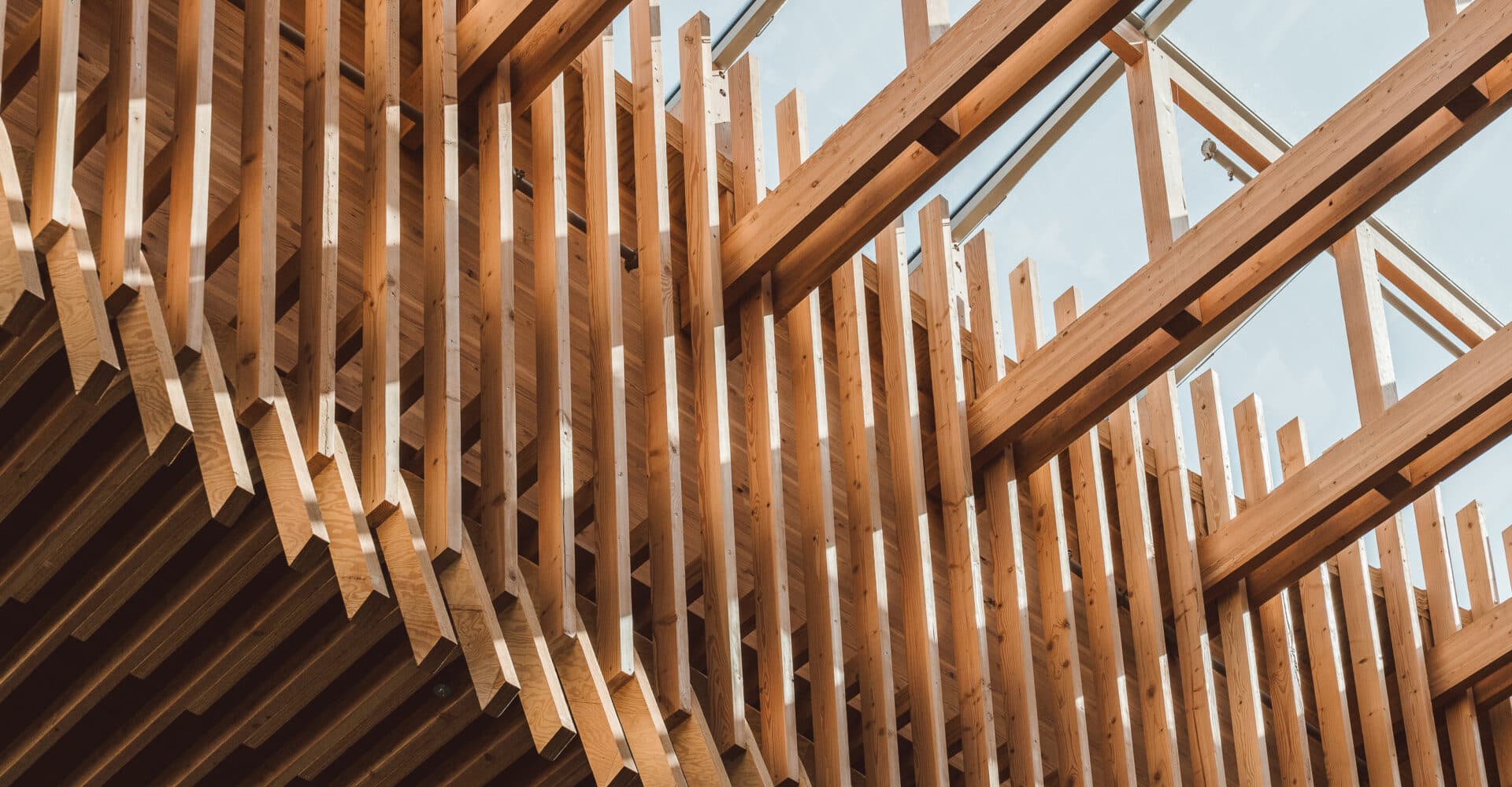 Wood logs background